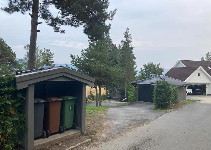 Ringasen