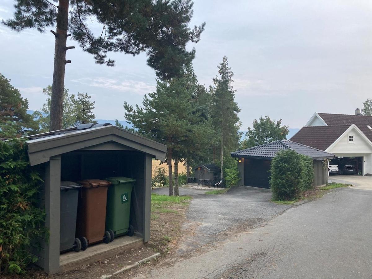 Ringasen